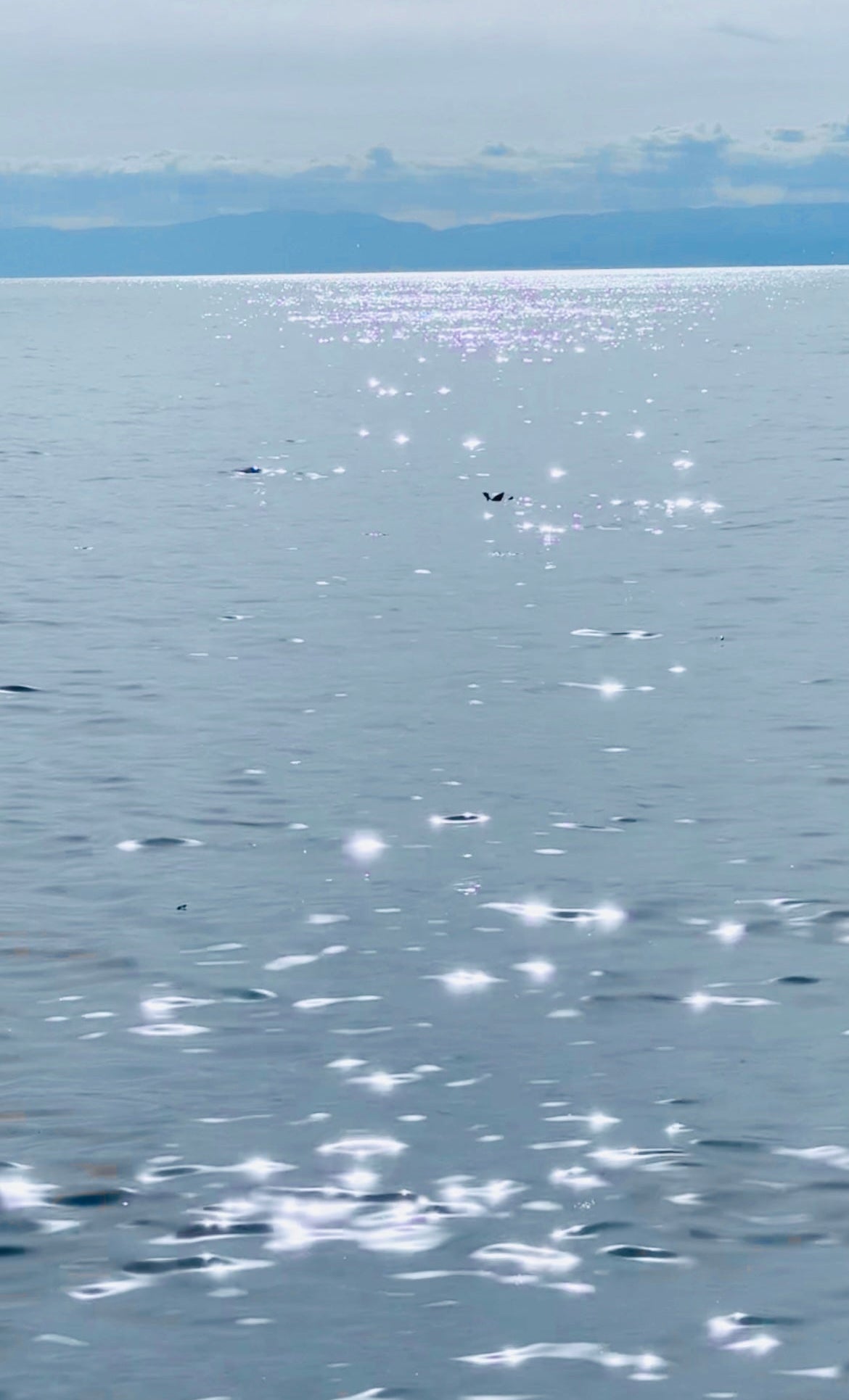 Calm body of water with a distant mountain range under a clear sky.